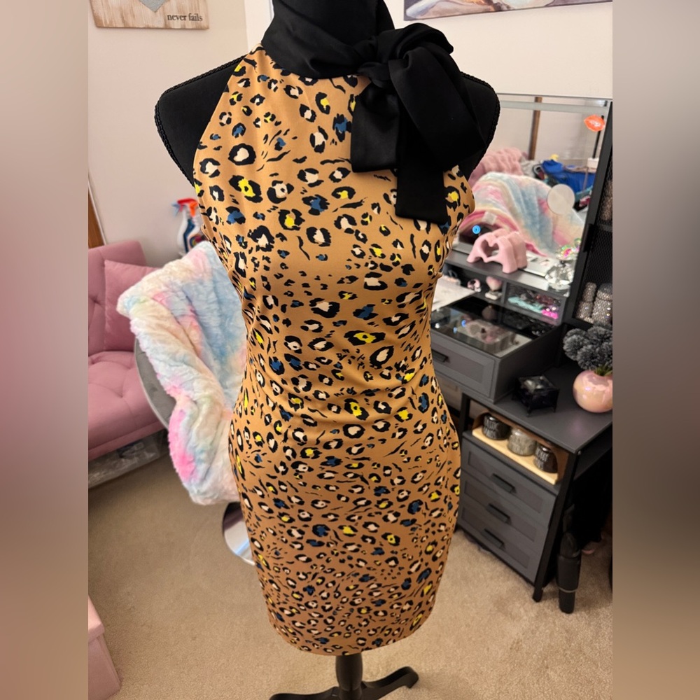 The Limited Dress